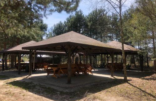 Dolina Bobrów - Foto 16