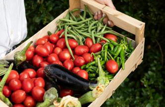 Family Farm Soc. Agr. a r.l. - Foto 2