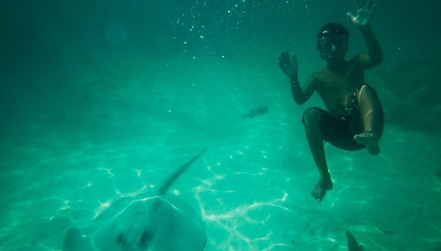 Seaquarium - Passeio de Catamarã - Foto 3