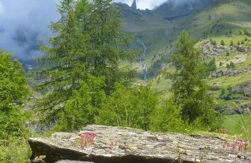 Skis aux pieds station 1600 Sun Vallée - Foto 40