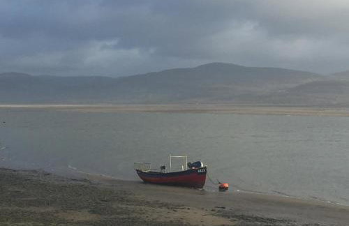 Stunning views of Ynyshir & Southern Snowdonia - Foto 31