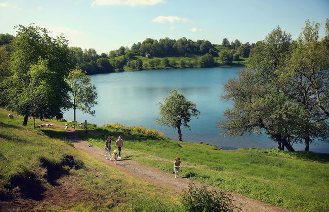 Center Parcs Park Eifel - Foto 1