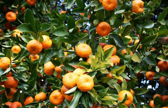 Seaside House 2 Double Bedrooms With Spectacular Mountain Sea View - Foto 8