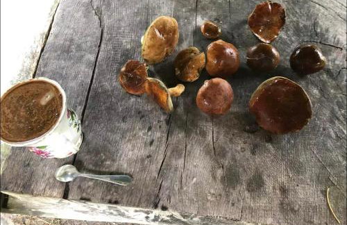 Domek w lesie - Foto 25