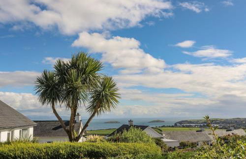 Trem Ynys 3 bed - Photo 43