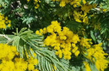 Villa atypique bord de plage méditerranée label architecture contemporaine remarquable - Foto 34