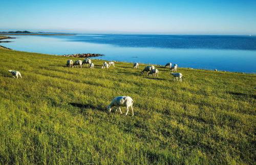 Haus am Merr auf Fehmarn OT Westerbergen - Foto 52