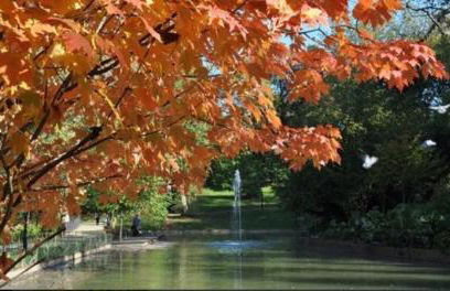 BIG 4 ROOMS in a Centric Home Parking Included - Foto 80