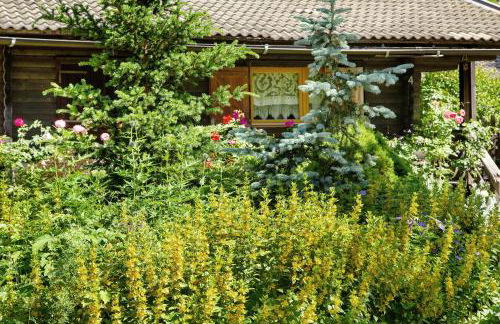 Orserose Chalet 1 La Bilancia - Foto 27