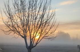 MASIA CLOTATS - Photo 48