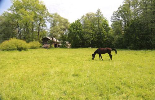 Gospodarstwo Agroturystyczne Stary Młyn Wilczkowice - Foto 29