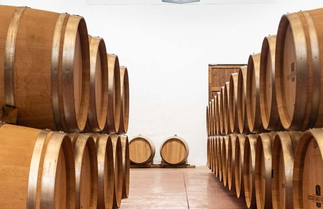 Bodegas Nodus Tour - Photo 1