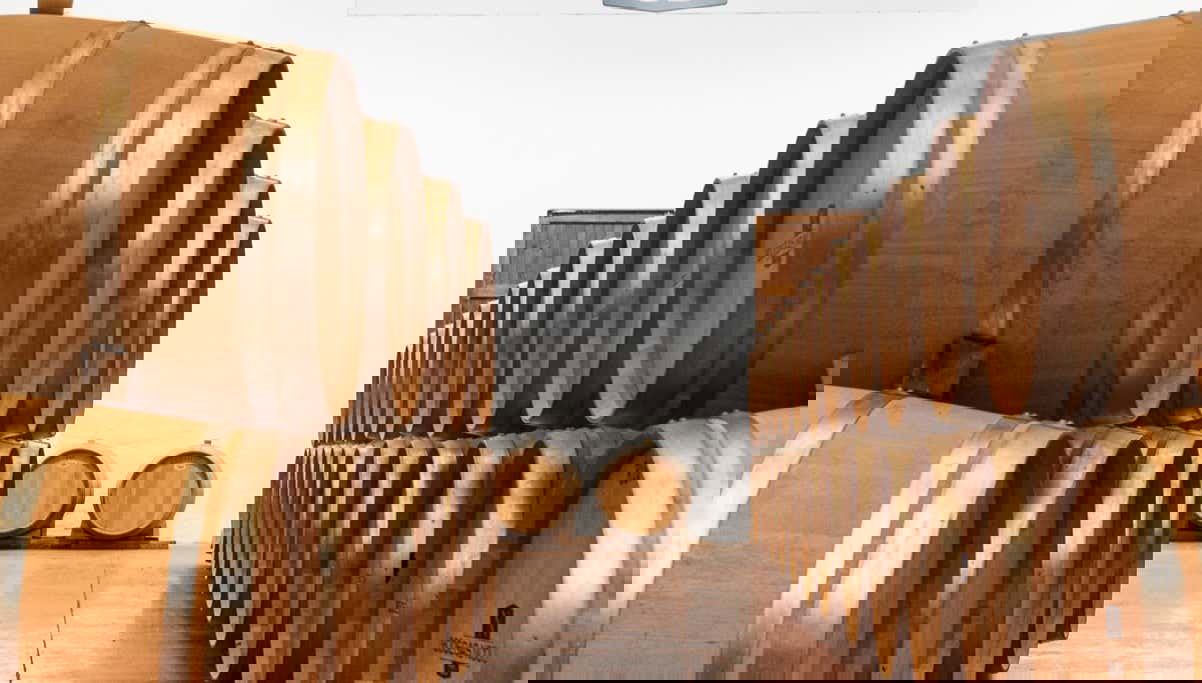 Bodegas Nodus Tour - Photo 1, Bodegas Nodus Tour