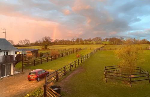 Gîte dans un petit haras - Foto 50