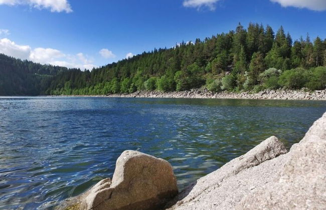 Residence Orbey Alsace Apartment With Balcony - Photo 15