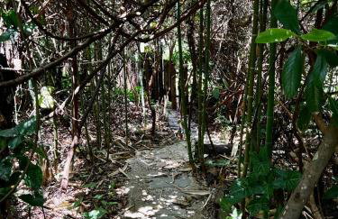 Chalezinho Na Mata Cipó Luxo - Inesquecível (privativo na mata e no centro da serra) - Foto 28
