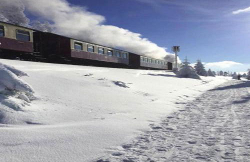 Holiday Homes in Torfhaus Harzresort, Torfhaus - Foto 152