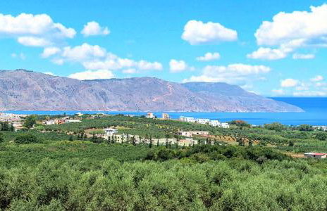 Major Villa - Foto 10