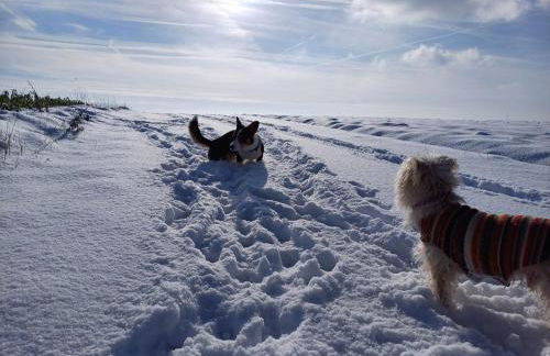 Gutshaus De La Fontaine - Photo 38