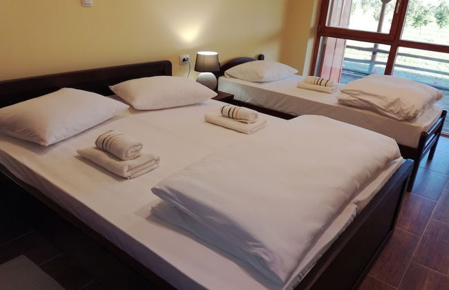 Salas Farma 47 - Photo 9