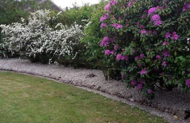 Büsumer blaue Krabbe - Foto 25