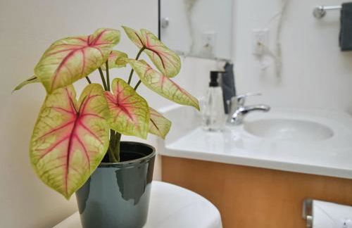 Central Berkeley Garden Oasis - Foto 43