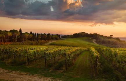 Tenuta San Vito In Fior Di Selva - Foto 9