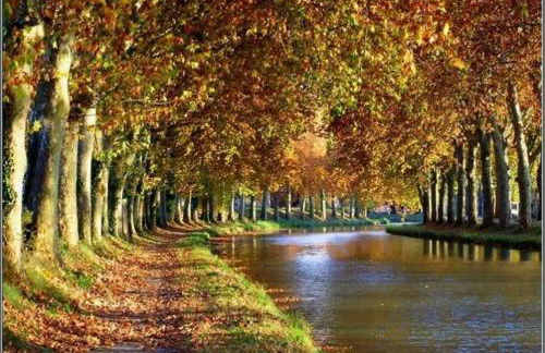 Belle villa 2 chambres, 5 couchages, jolie terrasse avec vue sur reserve, dans residence securisee avec piscine commune 800 m de la mer LRCS76 - Foto 18