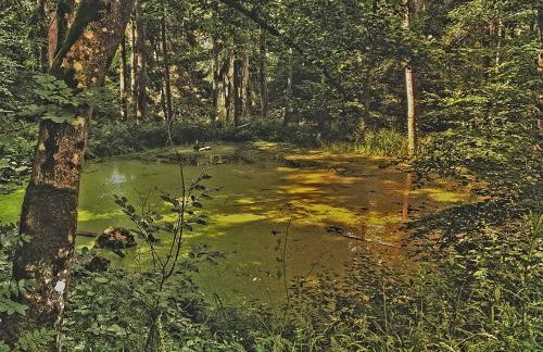 Ferienwohnung Taunusurlaub - Foto 27