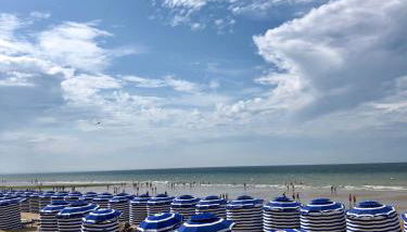 Maison avec jardin, calme et ensoleillée à 2 minutes du centre-ville - Photo 2