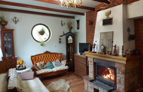 Bieszczadzki Dworek - Foto 28