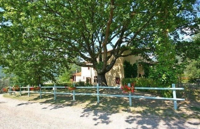 Fattoria i Ciliegi - Photo 76