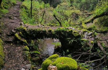 Cantinho do Talasnal - Foto 30