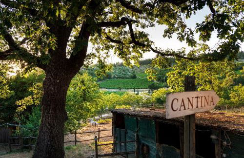 Castello di Fonterutoli Wine Resort - Foto 54