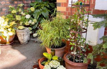 Mersey! Lark Lane! Quiet area! Spacious comfy flat - Foto 65