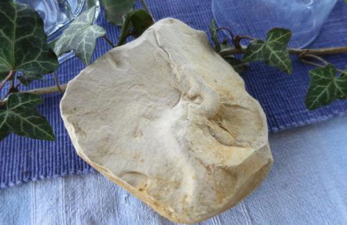 Alpaka-Ferien - Foto 19