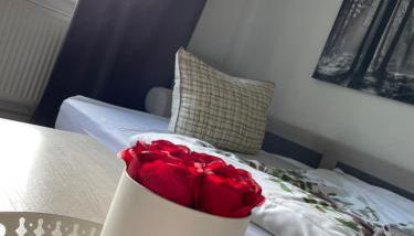 Gemütliche Wohnung in der Stadt 1 - Foto 5