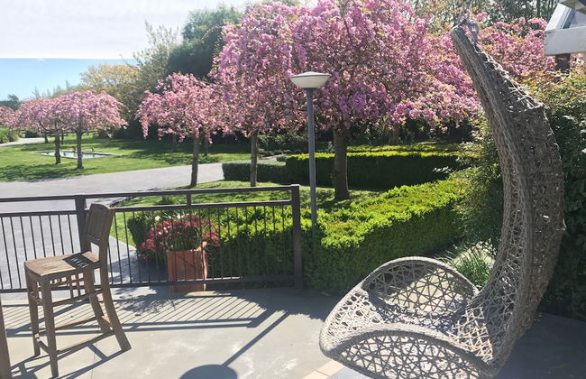 Silverstream Alpaca Farmstay and Tour - Foto 54