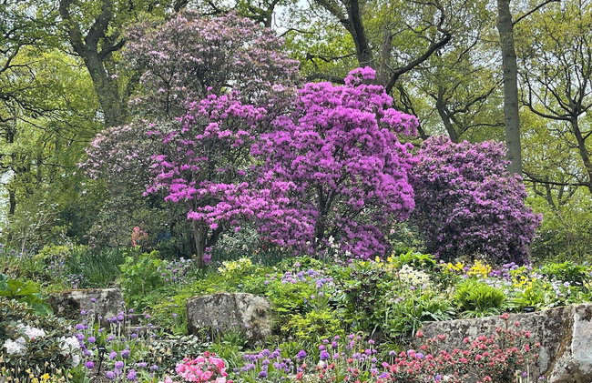 Artists' Cottages - Foto 58