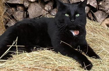 Domaine Nature Vacances - Foto 49