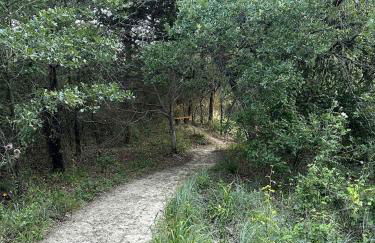 Hidden Treasure Harvest House Forest Getaway 30 Min. West of Fort Worth - Photo 16