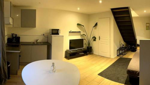 Appartement duplex proche zénith, mégacité, stade - Foto 4, stove, pet friendly, minibar