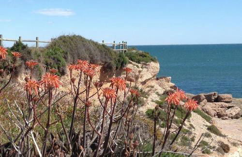 3 BEDROOM LUXURY PENTHOUSE, BEACH, POOL, and GOLF, WIFI, Large TV SATELLITE,GARAGE - Foto 28