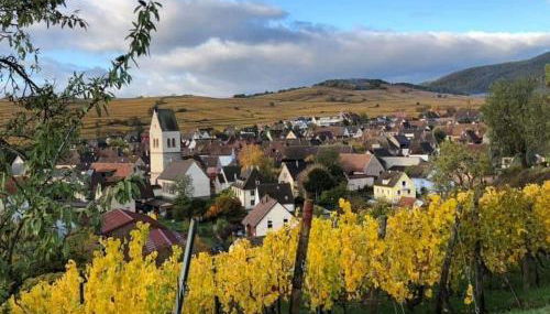 Gite Au Nid de Cigognes - Foto 2