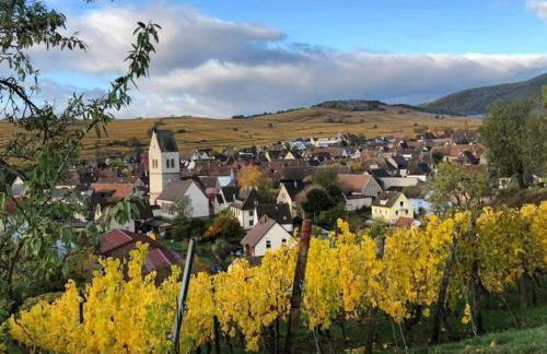 Gite Au Nid de Cigognes - Foto 2