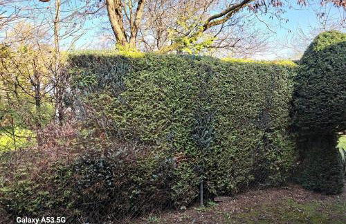 Zentrale Messewohnung im wunderschönen Vorort - Foto 9