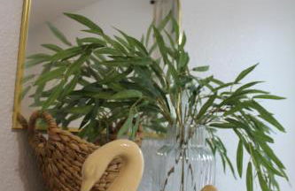 Setting the right vibes. - Foto 27