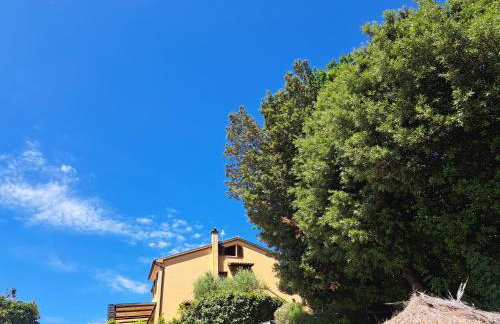 AUTUNNO IN TOSCANA MARE degustazioni sagre e vino aperto tutto l'anno parcheggio riservato davanti a casa - Foto 3