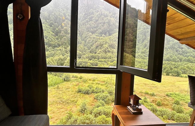 Meydan Şelale Dağ Evi - Foto 23