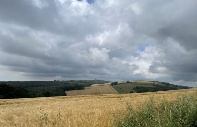 St Georges Balcony Suite - Photo 36